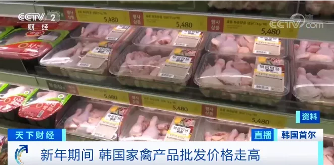 央視報道