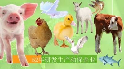 VC在畜禽上的應(yīng)用-上海邦森