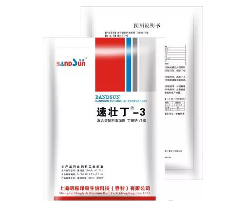 速壯丁3號