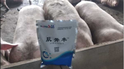 上海邦森肌骨豐豬場提高效益的有效方法，獲得客戶的認(rèn)可