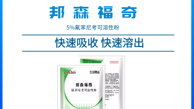 上海邦森獸藥知識--怎樣用氟苯尼考才能把它的臨床治療價值最大化？
