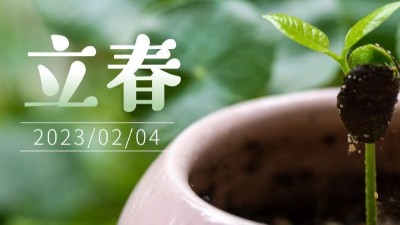 春氣始，萬物生-立春-上海邦森